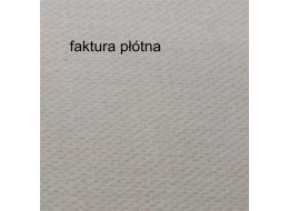 PODOBRAZIE BAWEŁNA 380 G NR A-11112  20X80