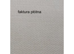 PODOBRAZIE BAWEŁNA 380 G NR A-11112  50X50