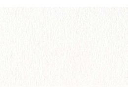 ROSASPINA 100X70 CM  FABRIANO BIANCO 285 G 10 szt