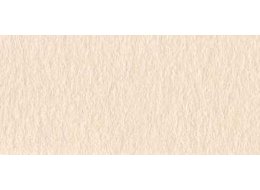 ROSASPINA 100X70 CM  FABRIANO AVORIO 220 G 10 szt