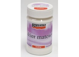 LAKIER MATOWY WODNY 100 ML NR 2451