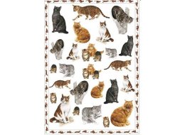 PAPIER DO DECOUPAGE 50X70 CM NR EASY138