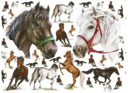 PAPIER DO DECOUPAGE 50X70 CM NR EASY076