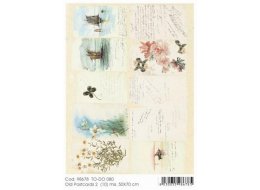 PAPIER DO DECOUPAGE TODO 50X70 CM NR SOFT 080