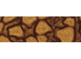 PRISME FANTASY 45 ML PEBEO 31  CHESTNUT