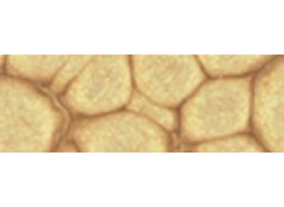 PRISME FANTASY 45 ML PEBEO 32  ANTIQUE GOLD