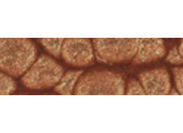 PRISME FANTASY 45 ML PEBEO 33  CINNAMON