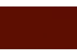 FARBY PLAKATOWE BRIAN CLEGG 1 L BURNT UMBER