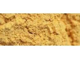 PIGMENTY RENESANS 50 G ZŁOTO PERŁOWE