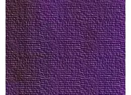 MASTER OIL 60 ML FERRARIO 021 violet deep