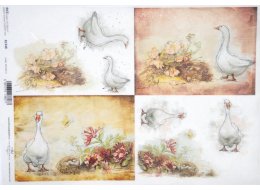PAPIER RYŻOWY Z NADRUKIEM  GĄSKI  A4 R1348