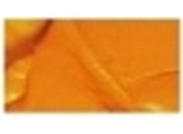 PHOENIX 100 ML 301 ORANGE YELLOW