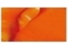 PHOENIX 100 ML 304 ORANGE