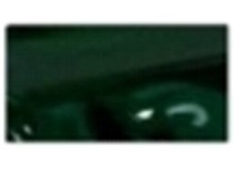 PHOENIX 100 ML 512 HOOKERS GREEN DEEP