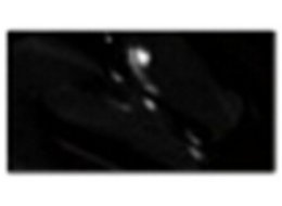 PHOENIX 100 ML 791 MARS BLACK