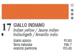 VAN DYCK 60 ML. FERRARIO 17 INDIAN YELLOW
