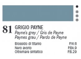 VAN DYCK 60 ML. FERRARIO 81 PAYNES GREY