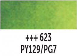 AKWARELA VAN GOGH TUBA 10 ML TALENS  623 SAP GREEN