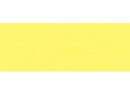 F. AKWARELOWA ECOLINE 30 ML. TALENS 201 LIGHT YELLOW