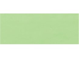 F. AKWARELOWA ECOLINE 30 ML. TALENS  666 PASTEL GREEN