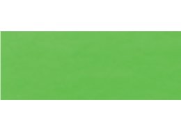F. AKWARELOWA ECOLINE 30 ML. TALENS 601 LIGHT GREEN