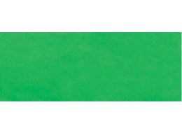 F. AKWARELOWA ECOLINE 30 ML. TALENS 600 GREEN