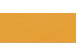F. AKWARELOWA ECOLINE 30 ML. TALENS  227 YELLOW OCHRE