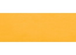 F. AKWARELOWA ECOLINE 30 ML. TALENS 231 GOLD OCHRE