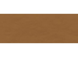 F. AKWARELOWA ECOLINE 30 ML. TALENS 416 SEPIA