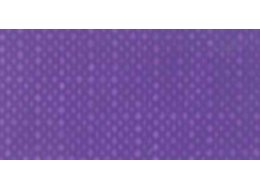 APA COLOR 150 ML MATT FERRARIO 033 LIGHT VIOLET