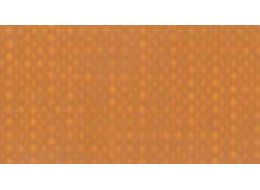 APA COLOR 150 ML MATT FERRARIO 015 RAW SIENNA