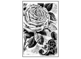KAUCZUKOWY STEMPEL RÓŻA, TŁO 7X11 CM STAMPERIA WTKCC72