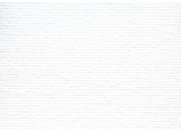 PAPIER ELLE ERRE 220 G A4  BIANCO