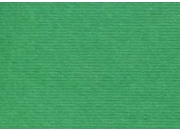 PAPIER ELLE ERRE 220 G A4 VERDONE