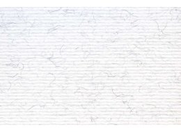 PAPIER ELLE ERRE 220 G A4 BRINA
