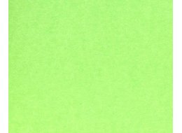 PAPIER FABRIANO COLORE 200 G 100 X 70 CM VERDE PISELLO
