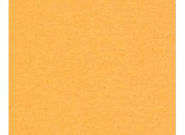 PAPIER FABRIANO COLORE 200 G 100 X 70 CM AVANA
