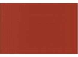 F. ACRYLIC 120 ML R&L 101 BURNT SIENNA
