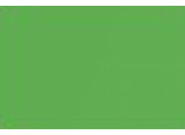F. ACRYLIC 120 ML R&L 117 CADMIUM GREEN