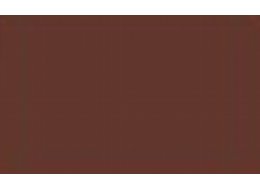 F. ACRYLIC 120 ML R&L 119 BURNT UMBER