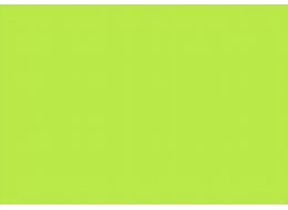 F. ACRYLIC 120 ML R&L 148 BRIGHT YELLOW GREEN