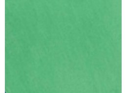 F. DO TWARZY SNAZAROO 18 ML 444 JASNY ZIELONY