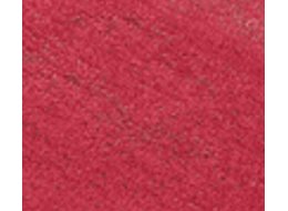F. DO TWARZY SNAZAROO 18 ML 550 CZERWONY