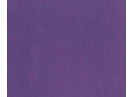 F. DO TWARZY SNAZAROO 18 ML 881 PURPUROWY