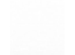 TOISON DOOR 8500 KOH I NOOR 1 WHITE