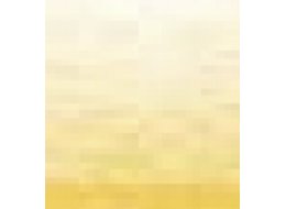 AKW. PROGRESSO  8780/ 28 GOLD OCHRE
