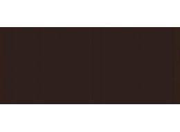 CAMPUS 100 ML 202 BURNT UMBER