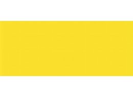 CAMPUS 100 ML 501 LEMON YELLOW