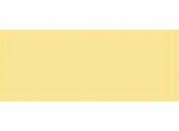 CAMPUS 100 ML 567 NAPLES YELLOW
