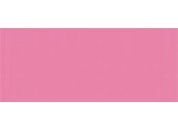 CAMPUS 100 ML 658 QUINACRIDONE PINK